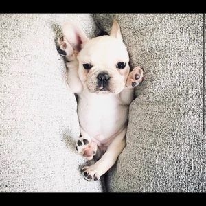 Meet your Posher, Jay